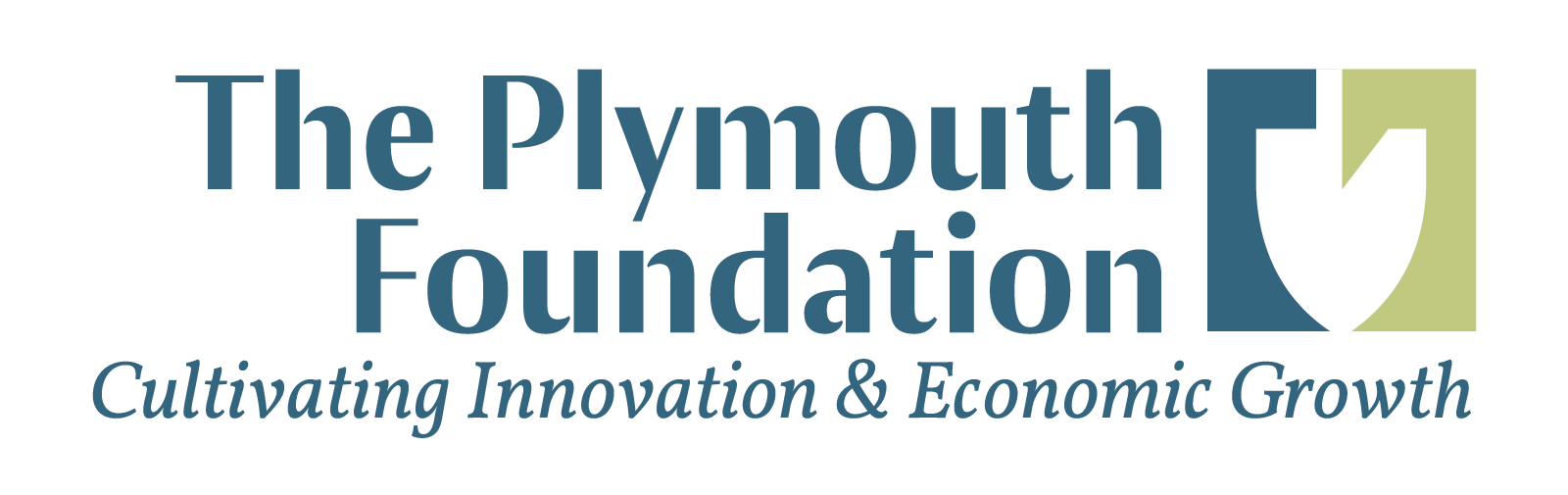 Plymouth Foundation